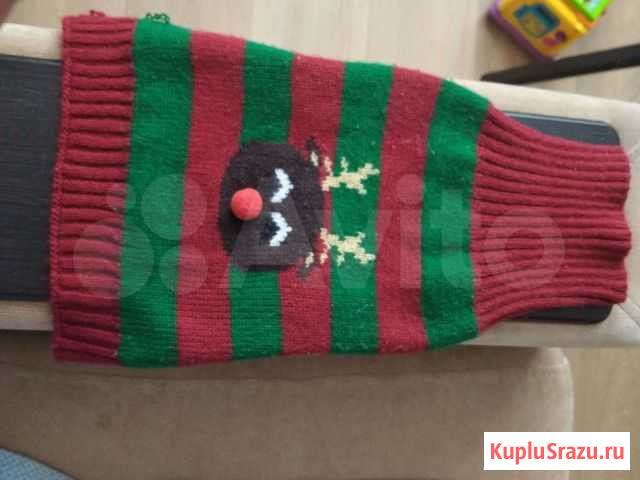 Кафточка для собачки Новокузнецк - изображение 1