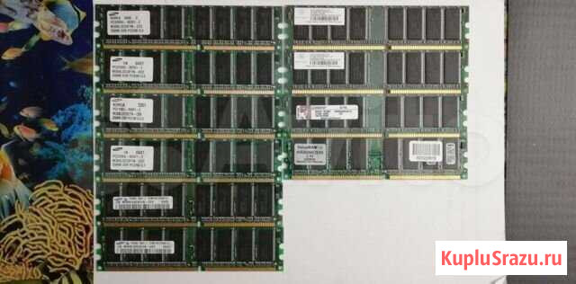 DDR1 Нижневартовск - изображение 1