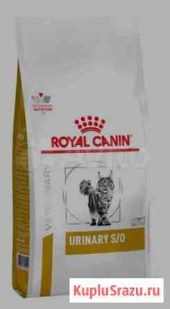 Корм для кошек royal canin Выкса