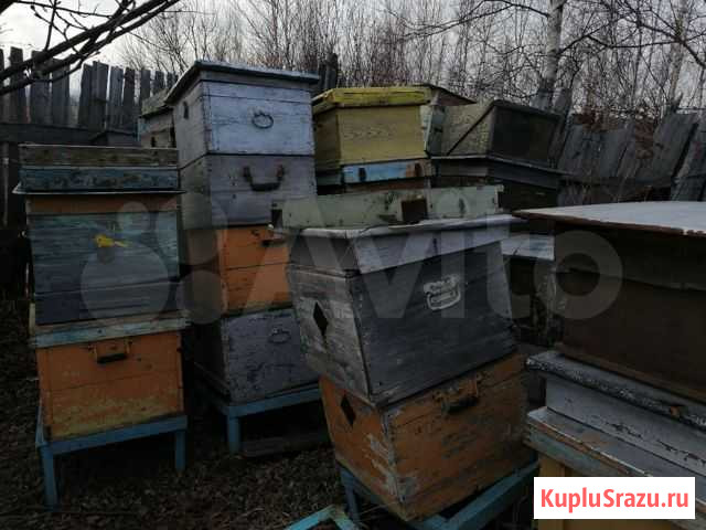 Ульи, рамки Комсомольск-на-Амуре - изображение 1