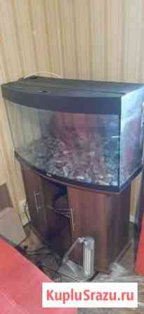 Аквариум с тумбой Кемерово