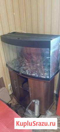 Аквариум с тумбой Кемерово - изображение 1