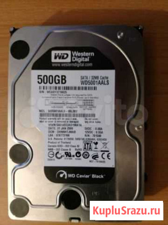 Жесткий диск Western Digital WD Black 500GB Ростов-на-Дону - изображение 1