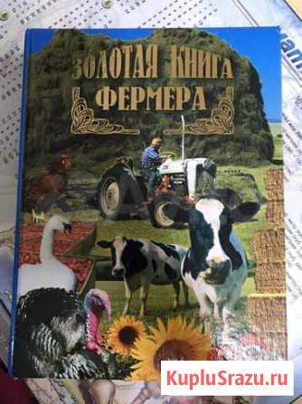 Книга Бузулук - изображение 1