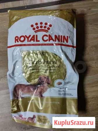 Сухой корм для таксы royal canin dachshund adult Великий Новгород - изображение 1