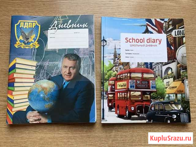 Дневник школьный Пермь - изображение 1