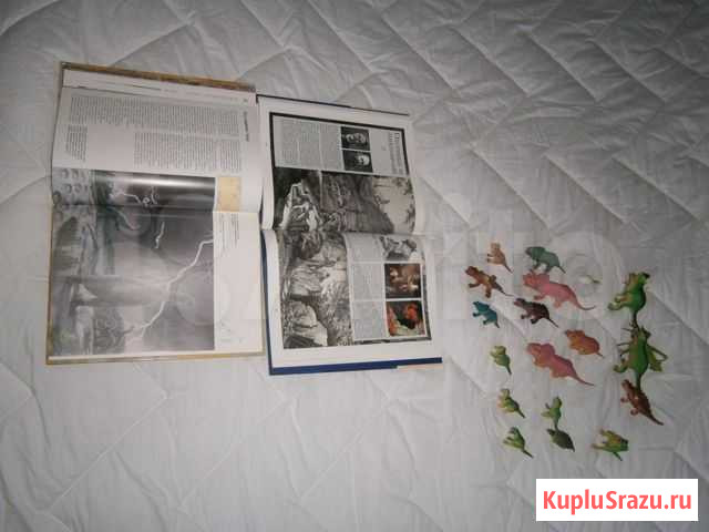 Книги и фигурки динозавров Светлогорск - изображение 1