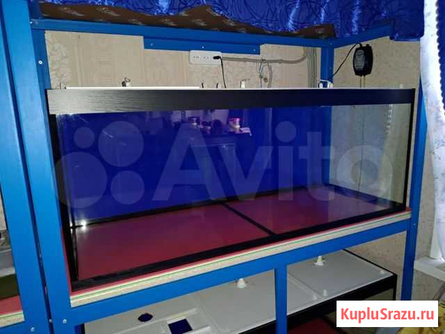 Аквариумы Челябинск - изображение 1