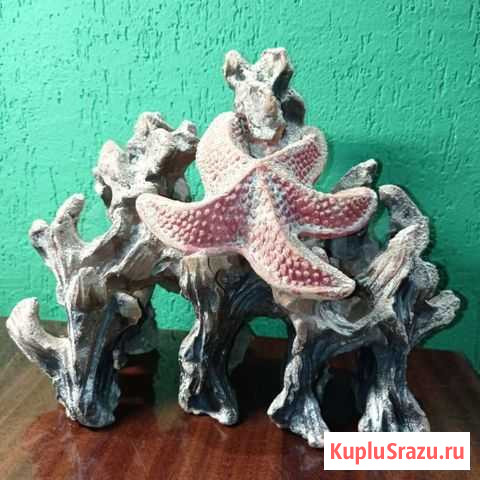 Грот для аквариума Петрозаводск - изображение 1
