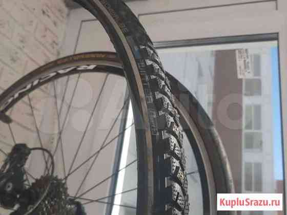 Шиповка Schwalbe winter activitie 700x30c Иркутск