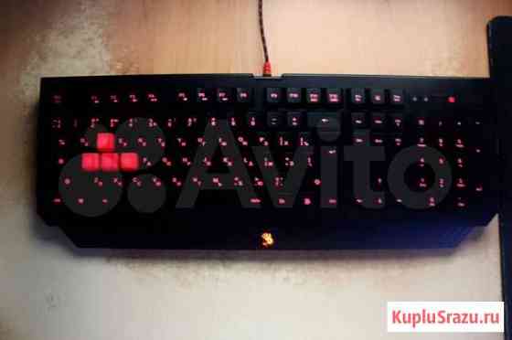 Игровая клавиатура Bloody b120 Киров