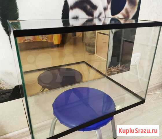 Продам б/у аквариум 36 литров Киров - изображение 1