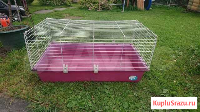 Клетка Ярославль - изображение 1