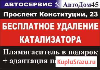 Бесплатное удаление катализатора Курган - изображение 1