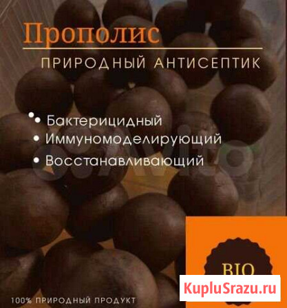 Прополис Хасавюрт - изображение 1