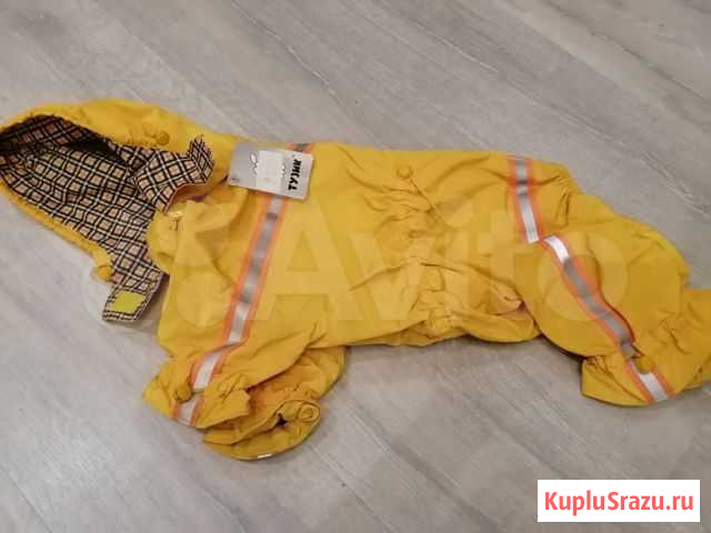 Комбинезон для собаки (типа французский бульдог) Химки - изображение 1