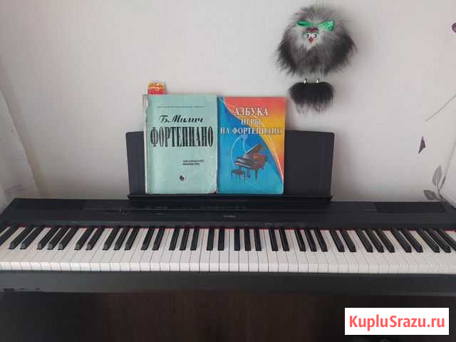 Обучение игре на фортепиано Омск - изображение 1