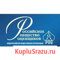 Профессиональная оценка Елец - изображение 1