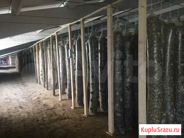 Грибное производство всобственности 2500 кВ, обмен Каневская - изображение 1