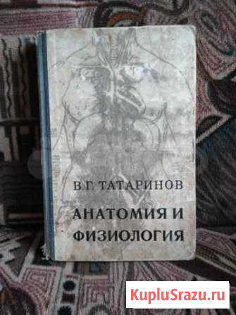 Книга Шебекино - изображение 1