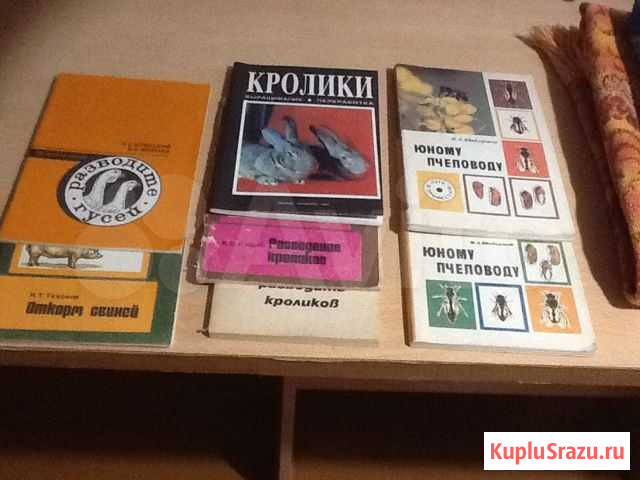 Книги Нерехта - изображение 1