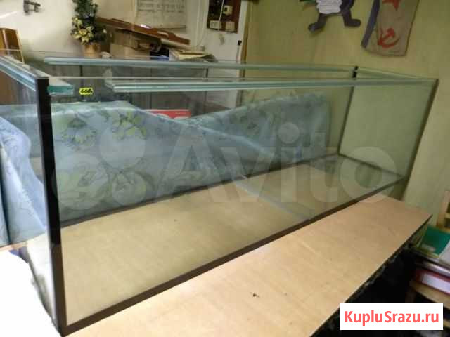 Аквариум новый Калининград - изображение 1
