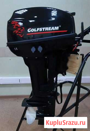 Лодочный мотор Golfstream T 9.9 BMS с USB, тахомет Омск - изображение 1