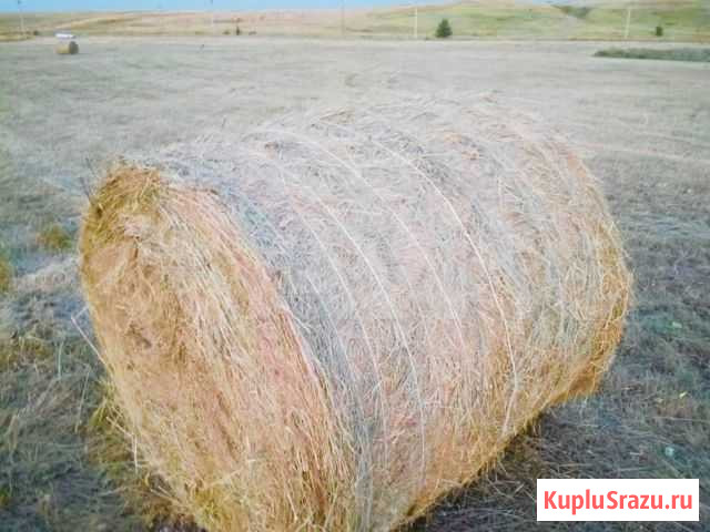 Сено луговое Красный Яр - изображение 1