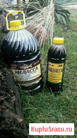 Меласса с бетаином (патока) Березовый - изображение 1