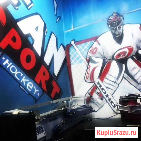 Хоккейная Мастерская Fansport.Заточка коньков,ремо Томск - изображение 1