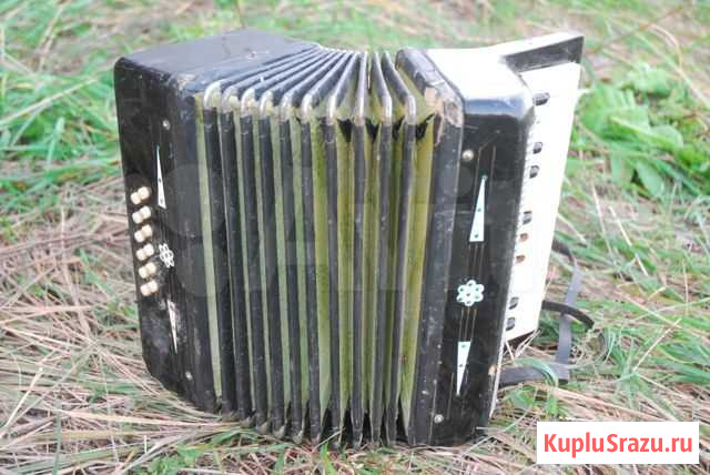 Гармонь детская Малыш Серпухов - изображение 1