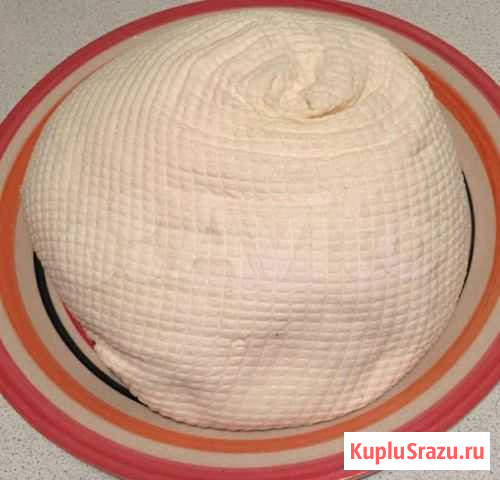 Сыр домашний Железногорск - изображение 1