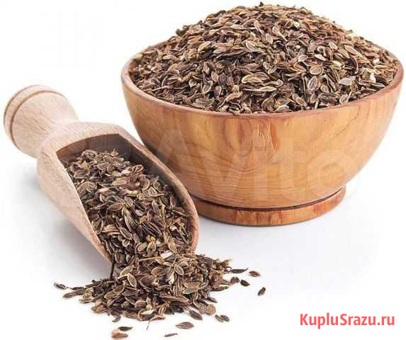 Семяна укропа Самара - изображение 1