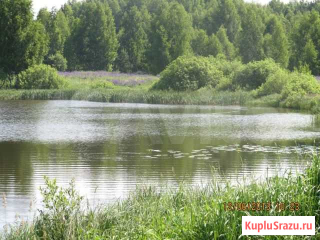 Экопарк-земля-бизнес Ворсма - изображение 1