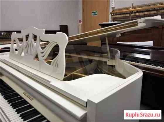 Белый Ниендорф Санкт-Петербург