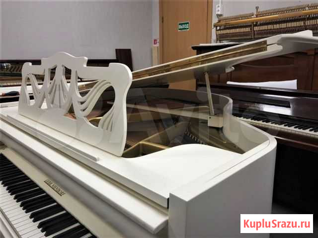 Белый Ниендорф Санкт-Петербург - изображение 1