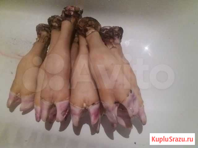 Телячьи ножки Тамбов - изображение 1