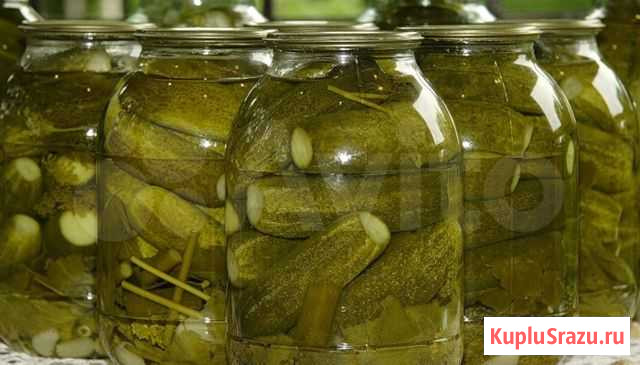 Продам огурцы консервированные, соленые Миасс - изображение 1