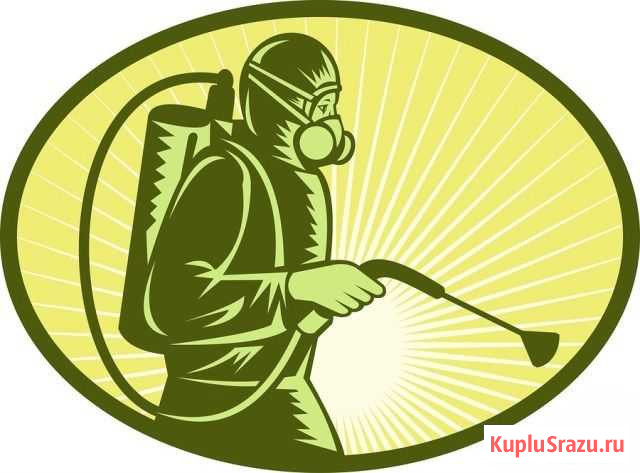 Уничтожение клопов тараканов Противовирусная обра Коркино - изображение 1