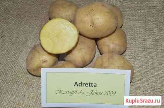 Продам картофель Братск