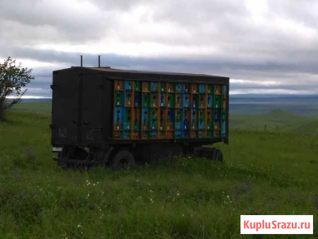 Мобильный кассетный пчелопавильон Назрань - изображение 1