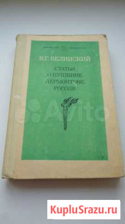 Белинский Тольятти - изображение 1