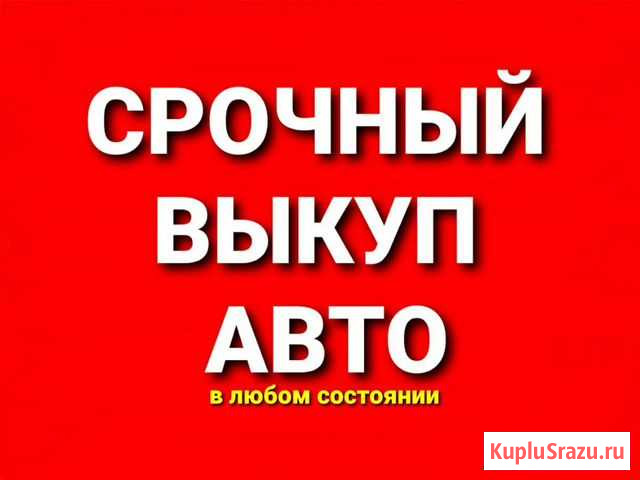 Срочный выкуп любых авто Талица - изображение 1