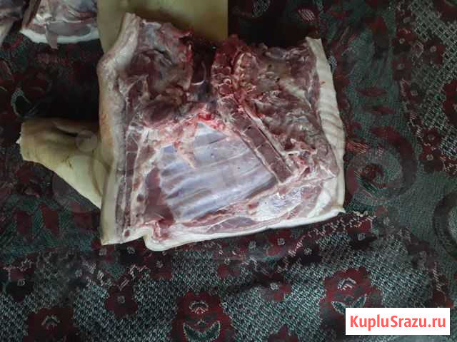 Продам мясо свенины чястями голова.ножки.ливер Бийск - изображение 1