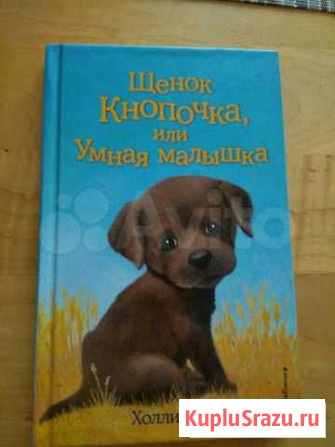Книга для чтения Брянск - изображение 1