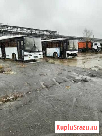 Автобус Маз 104 на запчасти Томск - изображение 1