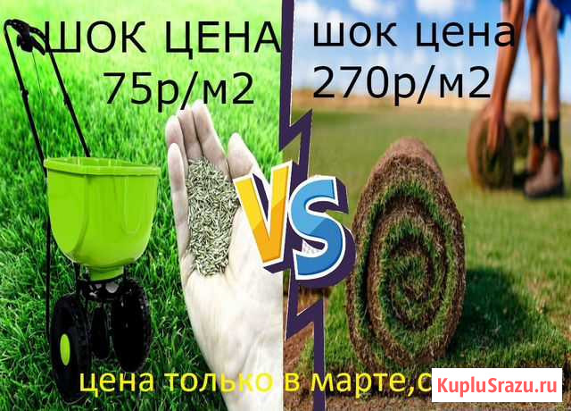 Газон только в марте Белгород - изображение 1
