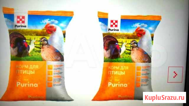 Комбикорм пурина Лысково - изображение 1