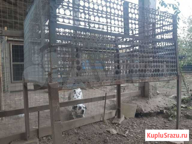 Клетки для кролика Львовское - изображение 1