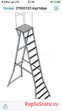 Лестница Палкино - изображение 1